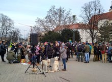 IMG_20180215_165509