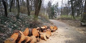 IMG_20210403_153801