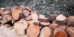 IMG_20210403_153738