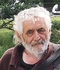 Tweet o Pavlovi